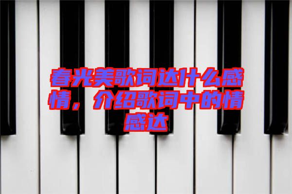 春光美歌詞達(dá)什么感情，介紹歌詞中的情感達(dá)