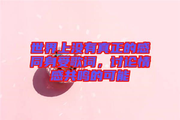 世界上沒有真正的感同身受歌詞，討論情感共鳴的可能