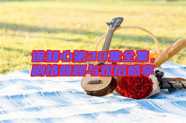 誰知心第30集全集，劇情回顧與觀后感享