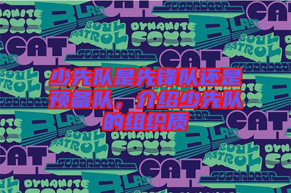 少先隊是先鋒隊還是預(yù)備隊，介紹少先隊的組織質(zhì)