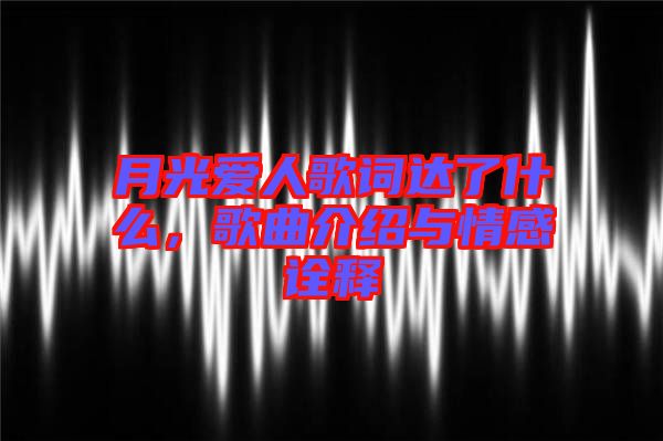 月光愛人歌詞達(dá)了什么，歌曲介紹與情感詮釋