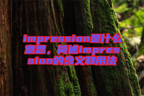 impression是什么意思，簡述impression的含義和用法