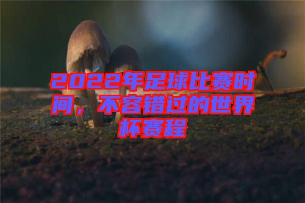 2022年足球比賽時間，不容錯過的世界杯賽程