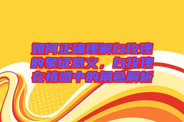 如何正確理解白玫瑰的象征意義，白玫瑰在情感中的角色解析