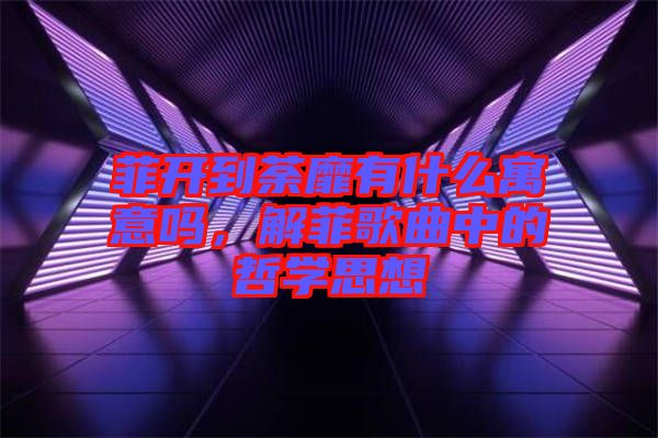 菲開到荼靡有什么寓意嗎，解菲歌曲中的哲學(xué)思想