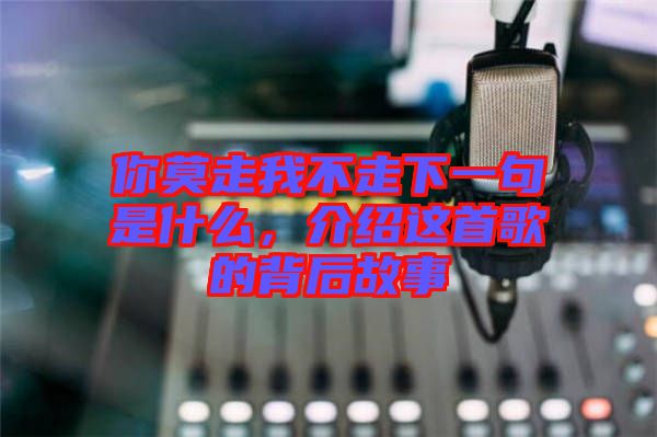 你莫走我不走下一句是什么，介紹這首歌的背后故事