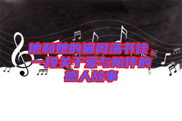 他和她的貓周蕩書佳，一段關于愛與陪伴的感人故事