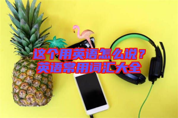 這個用英語怎么說？英語常用詞匯大全