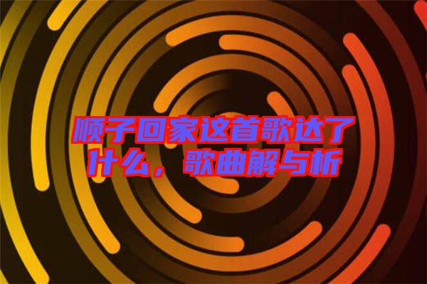 順子回家這首歌達了什么，歌曲解與析