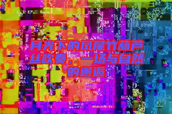 月光下的鳳尾竹葫蘆絲吹奏，一場與自然的邂逅