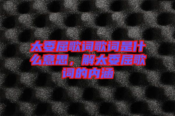 太委屈歌詞歌詞是什么意思，解太委屈歌詞的內(nèi)涵