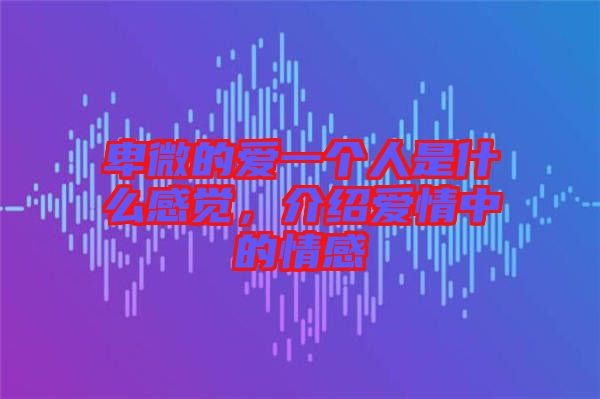 卑微的愛一個(gè)人是什么感覺，介紹愛情中的情感