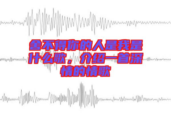 舍不得你的人是我是什么歌，介紹一首深情的情歌