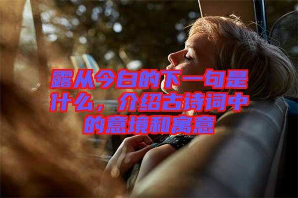 露從今白的下一句是什么，介紹古詩詞中的意境和寓意