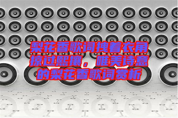 梨花香歌詞拽著衣角掠過(guò)熙攘，唯美詩(shī)意的梨花香歌詞賞析