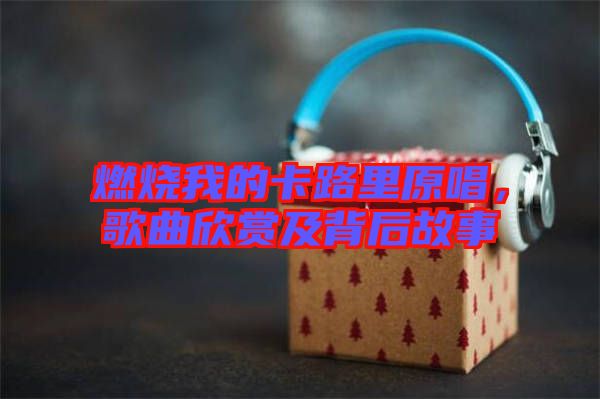 燃燒我的卡路里原唱，歌曲欣賞及背后故事