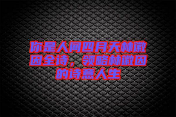 你是人間四月天林徽因全詩，領(lǐng)略林徽因的詩意人生