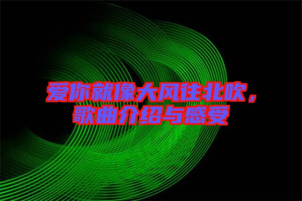 愛你就像大風(fēng)往北吹，歌曲介紹與感受