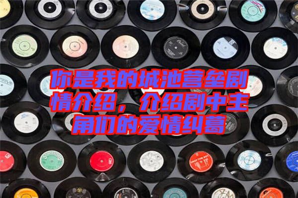 你是我的城池營壘劇情介紹，介紹劇中主角們的愛情糾葛