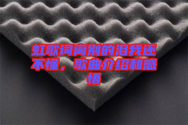 虹歌詞離別的淚我還不懂，歌曲介紹和感悟