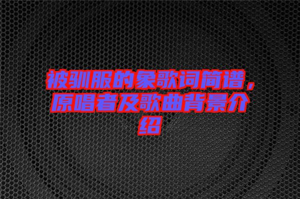 被馴服的象歌詞簡譜，原唱者及歌曲背景介紹