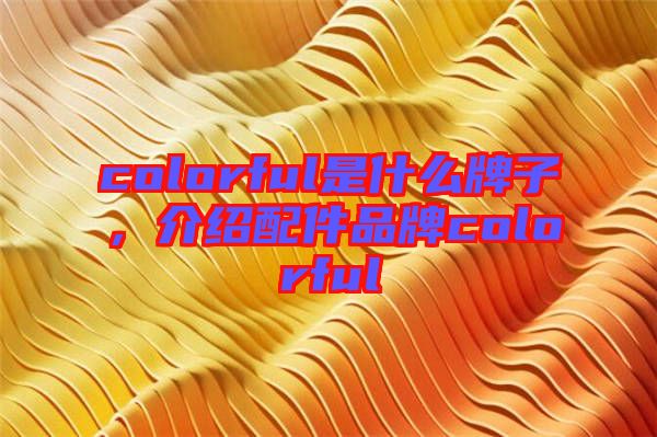 colorful是什么牌子，介紹配件品牌colorful