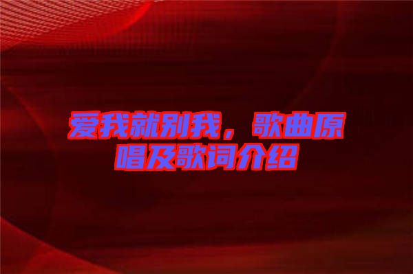 愛我就別我，歌曲原唱及歌詞介紹