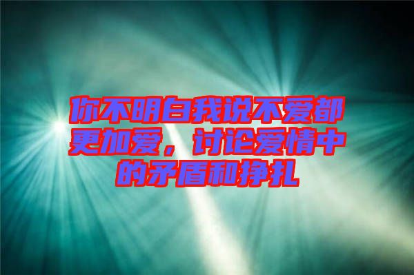 你不明白我說(shuō)不愛都更加愛，討論愛情中的矛盾和掙扎