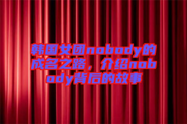 韓國(guó)女團(tuán)nobody的成名之路，介紹nobody背后的故事