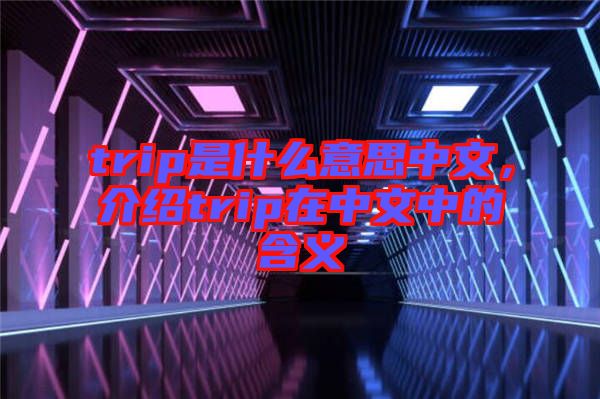 trip是什么意思中文，介紹trip在中文中的含義