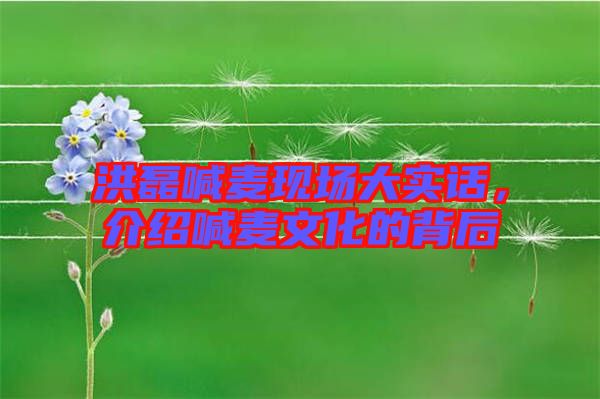 洪磊喊麥現(xiàn)場(chǎng)大實(shí)話(huà)，介紹喊麥文化的背后