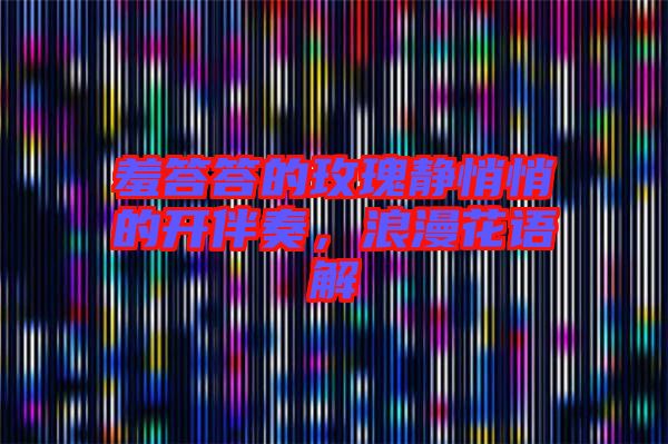 羞答答的玫瑰靜悄悄的開伴奏，浪漫花語解