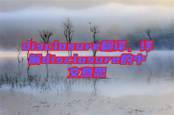 disclosure翻譯，詳解disclosure的中文意思