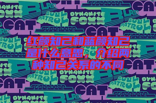 紅顏知己和藍顏知己是什么意思，介紹兩種知己關系的不同