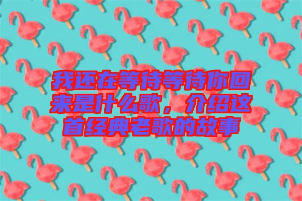 我還在等待等待你回來是什么歌，介紹這首經(jīng)典老歌的故事