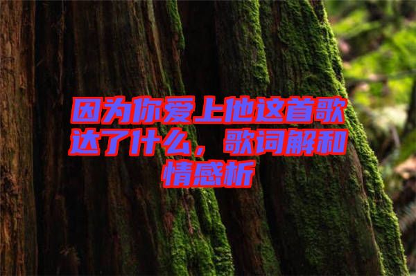 因?yàn)槟銗?ài)上他這首歌達(dá)了什么，歌詞解和情感析