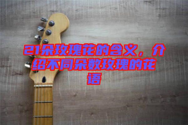 21朵玫瑰花的含義，介紹不同朵數(shù)玫瑰的花語