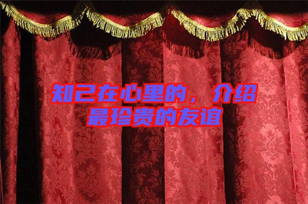 知己在心里的，介紹最珍貴的友誼