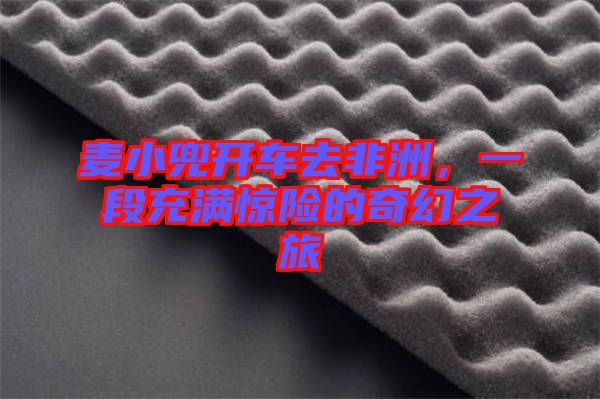 麥小兜開(kāi)車去非洲，一段充滿驚險(xiǎn)的奇幻之旅