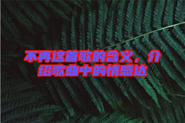 不再這首歌的含義，介紹歌曲中的情感達(dá)