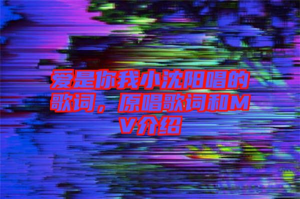 愛(ài)是你我小沈陽(yáng)唱的歌詞，原唱歌詞和MV介紹