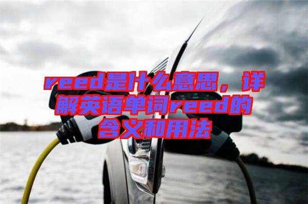 reed是什么意思，詳解英語單詞reed的含義和用法