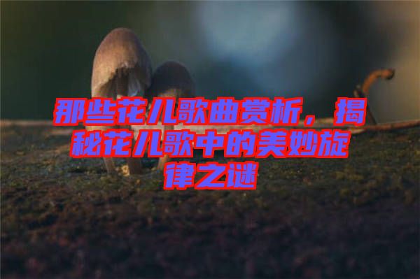 那些花兒歌曲賞析，揭秘花兒歌中的美妙旋律之謎