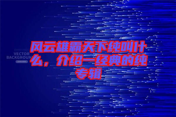 風(fēng)云雄霸天下純叫什么，介紹一經(jīng)典的純專輯