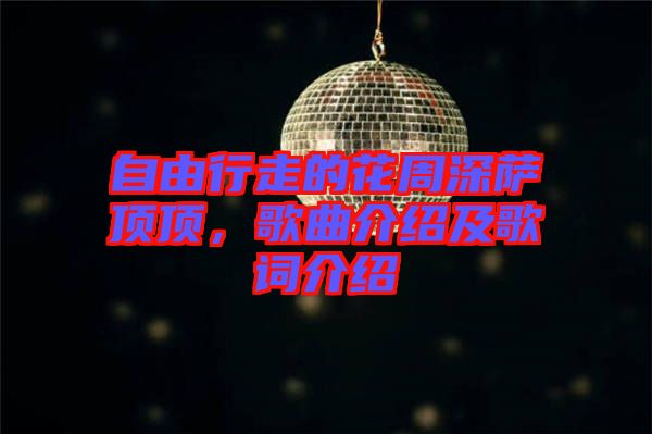 自由行走的花周深薩頂頂，歌曲介紹及歌詞介紹