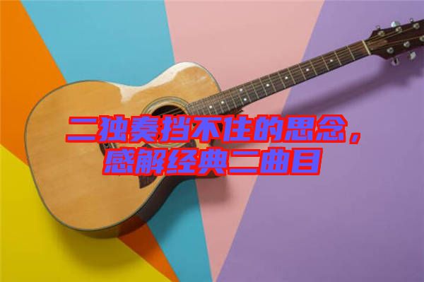 二獨(dú)奏擋不住的思念，感解經(jīng)典二曲目