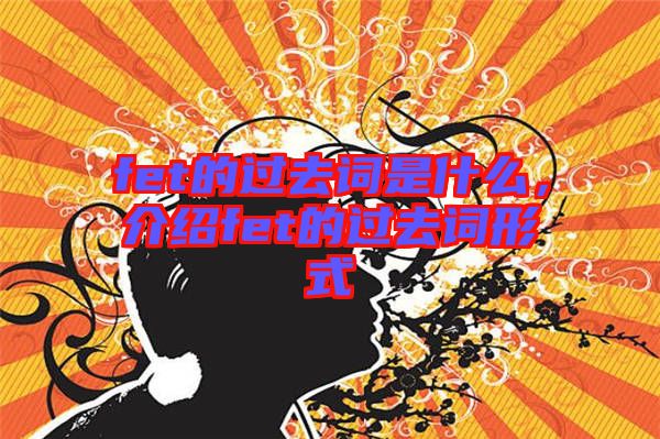 fet的過去詞是什么，介紹fet的過去詞形式