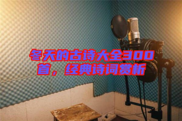 冬天的古詩(shī)大全300首，經(jīng)典詩(shī)詞賞析