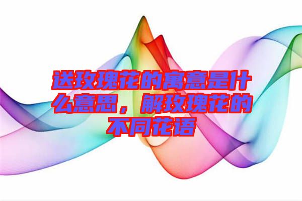 送玫瑰花的寓意是什么意思，解玫瑰花的不同花語