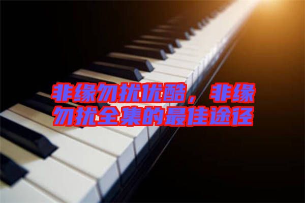 非緣勿擾優(yōu)酷，非緣勿擾全集的最佳途徑